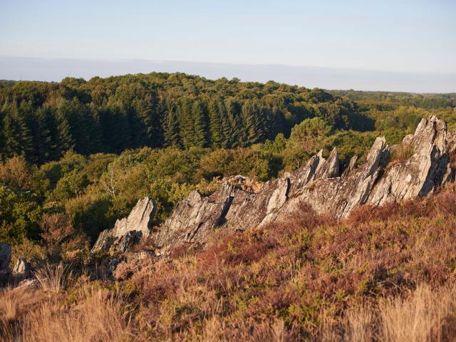 Balade Et Randonnée Sur Les Grées Rochefort En Terre (25)