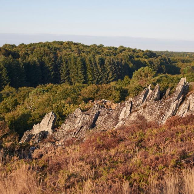 Balade Et Randonnée Sur Les Grées Rochefort En Terre (25)