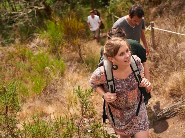 Balade Et Randonnée Sur Les Grées Rochefort En Terre (26)