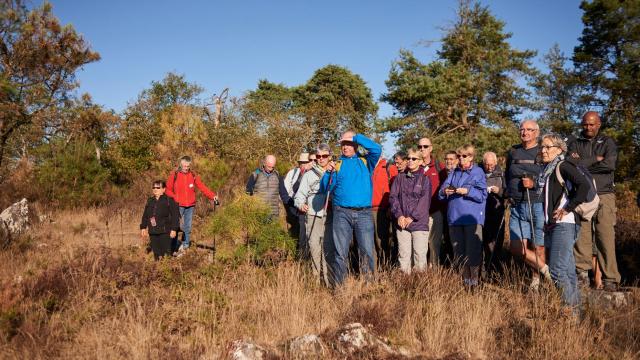 Balade Et Randonnée Sur Les Grées Rochefort En Terre (35)