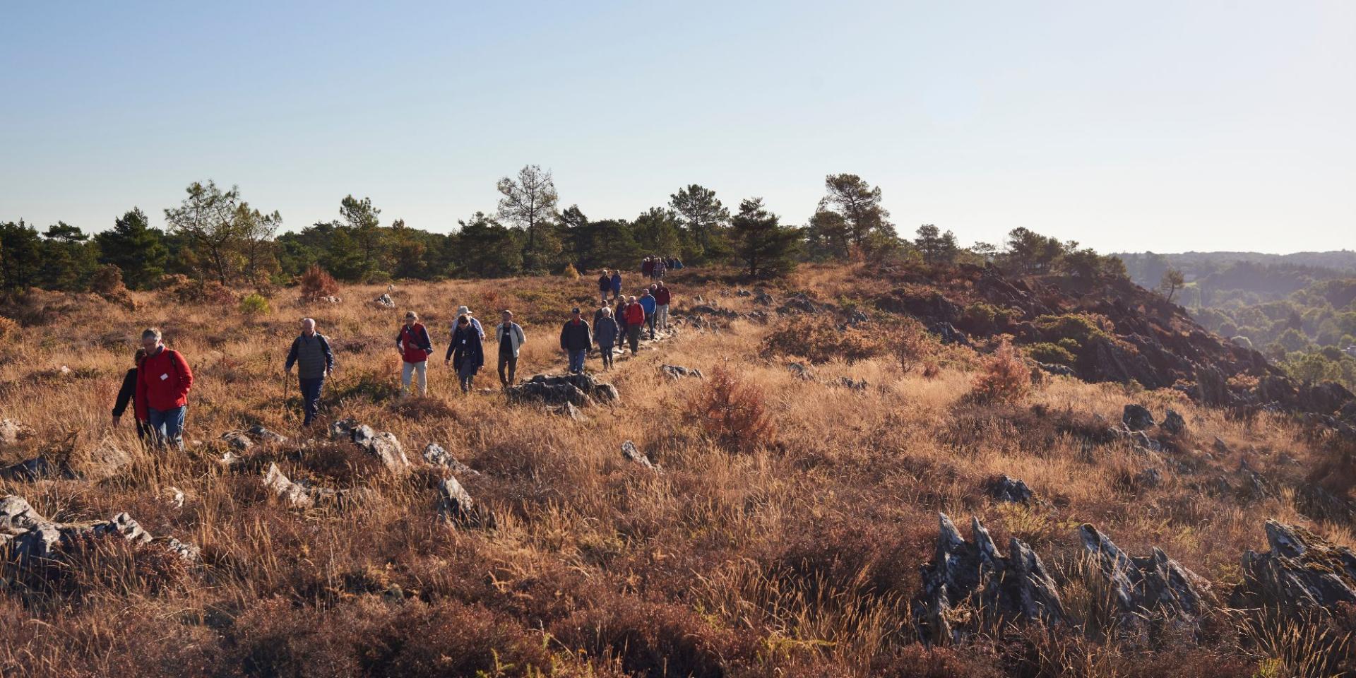 Randonnée sur les Grées