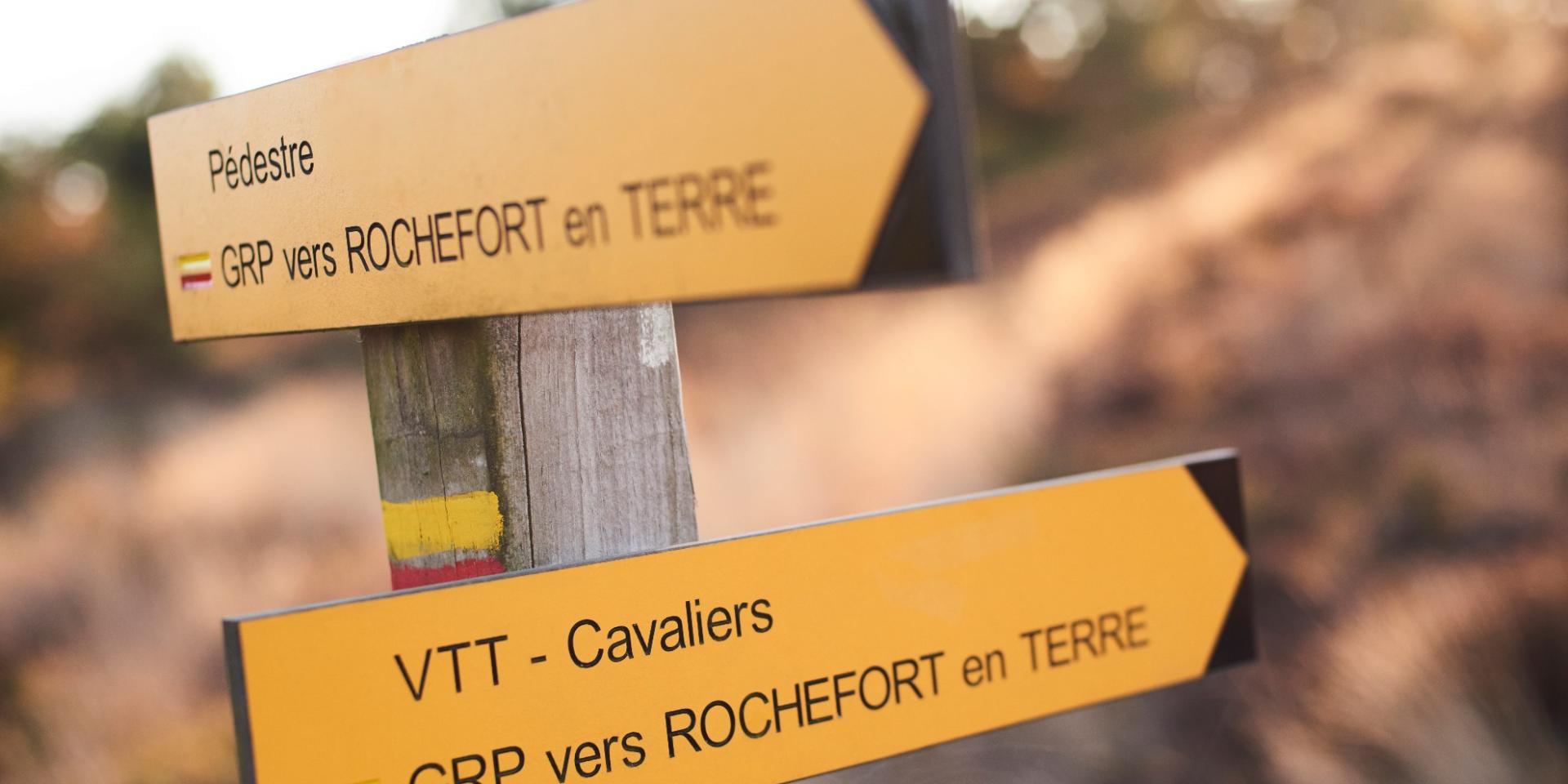 Balade Et Randonnée Sur Les Grées Rochefort En Terre (40)