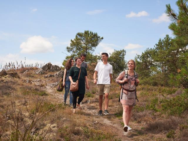 Balade Et Randonnée Sur Les Grées Rochefort En Terre (6)