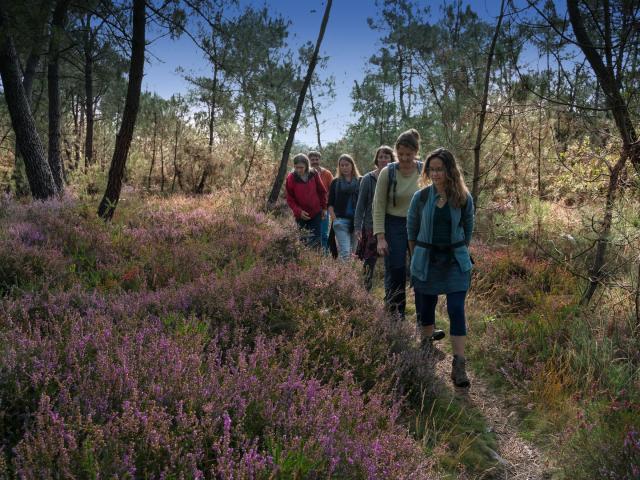 Balade Nature Saute Ruisseaux Les Grées Rochefort En Terre
