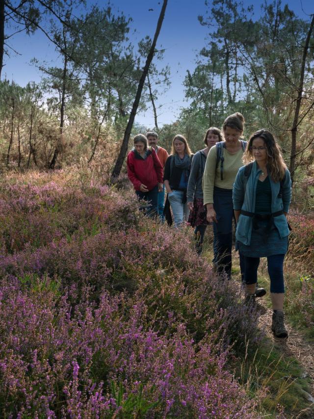 Paseo por la naturaleza Saute Ruisseaux Les Grées Rochefort En Terre