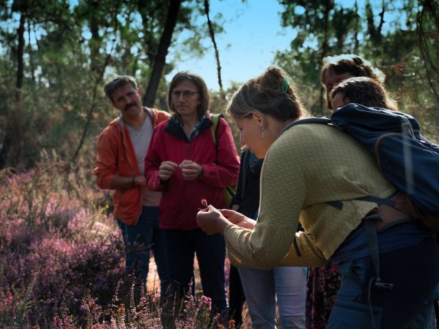 Balade Nature Saute Ruisseaux Rochefort En Terre