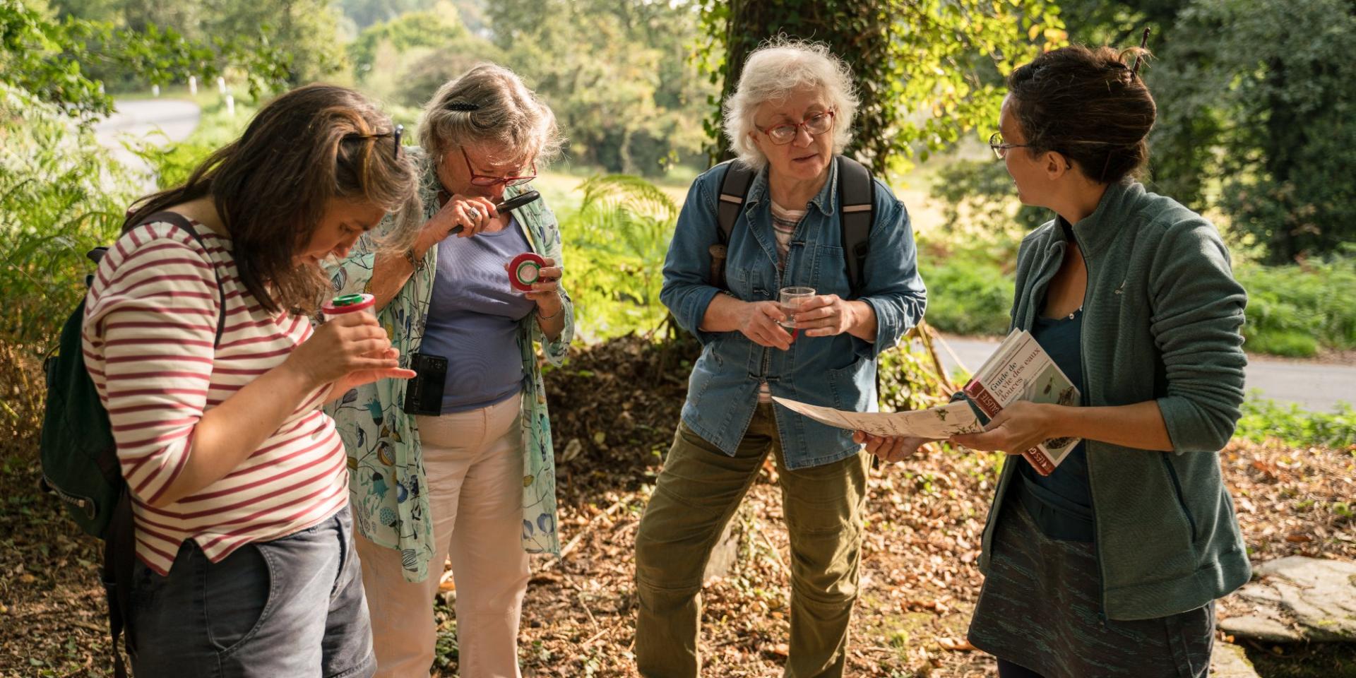 Balade Nature Saute Ruisseaux Rochefort En Terre Observation