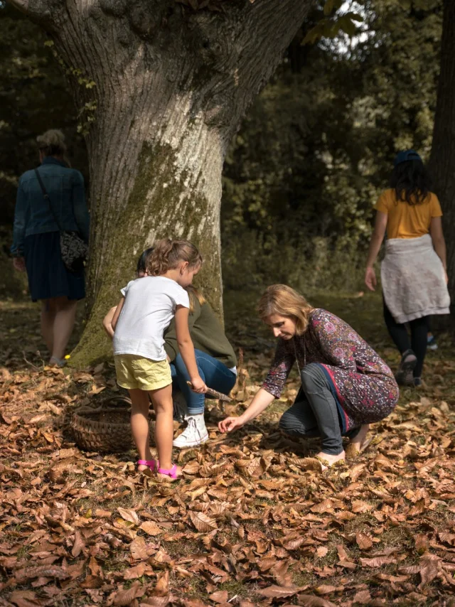 La Sorcière Du Château Rochefort-en-Terre - Ateliers créatifs