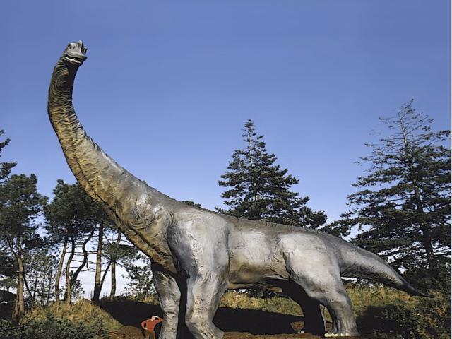 Parc De Préhistoire De Bretagne Brachiosaure
