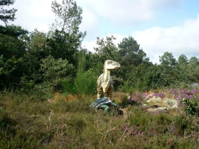 Parc De Préhistoire De Bretagne Malansac (11)
