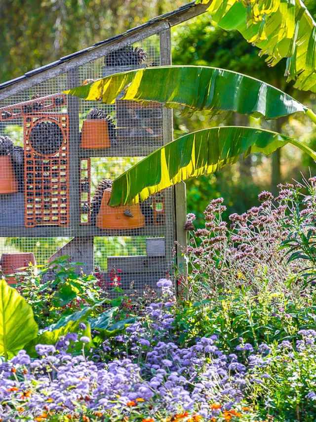 Hôtel à insectes dans les jardins de La Vraie Croix, Morbihan, Bretagne, France