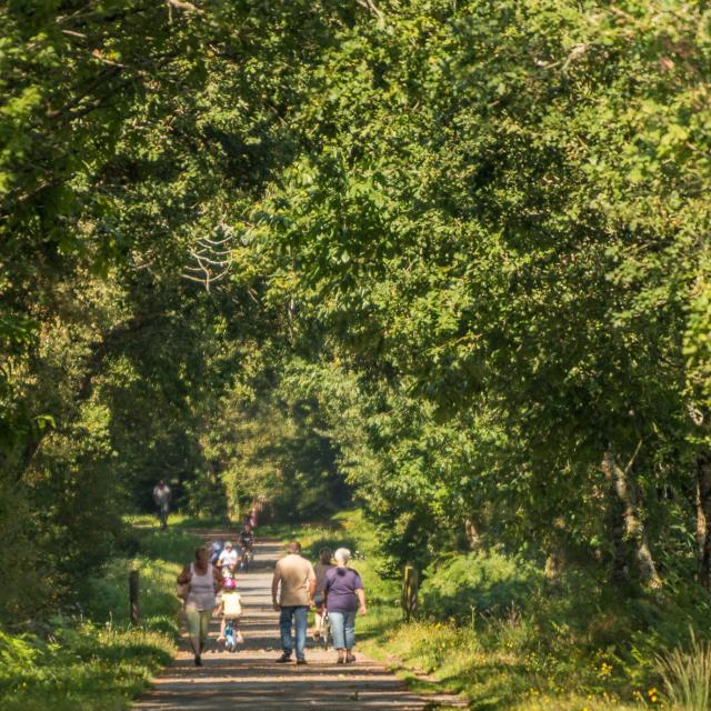 Voie Verte Questembert Mauron V3 Bretagne