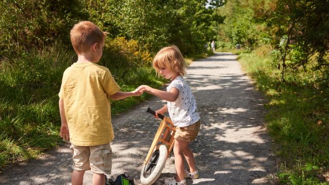 Voie Verte Questembert Médréac V3 Bretagne (5)