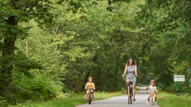 Voie Verte Questembert Médréac V3 Bretagne