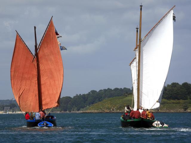 Voiliers lors de la Semaine du Golfe