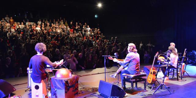concert-titi-robin-au-centre-culturel-lasphodele.jpg