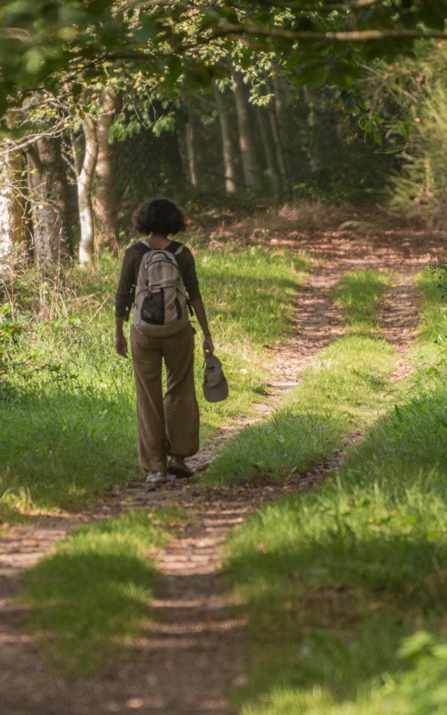 Rando Etang Du Moulin Neuf