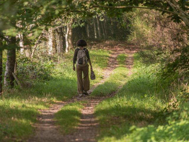 Rando Etang Du Moulin Neuf