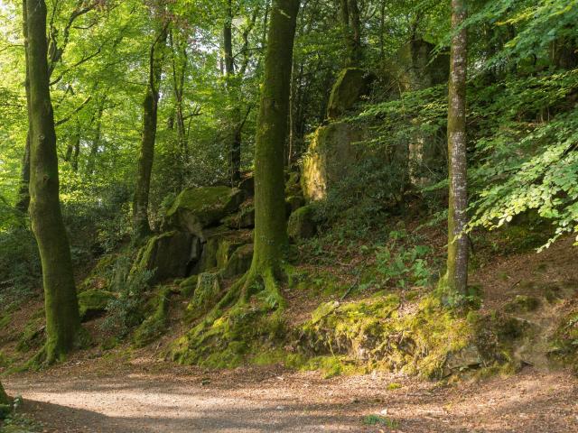 Randonnée Etang Du Moulin Neuf