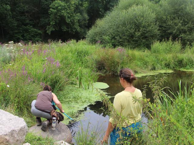 Saute Ruisseaux Balade Nature