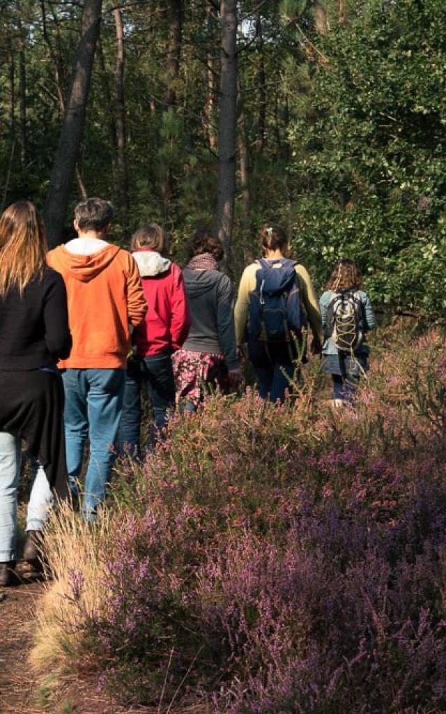 Saute Ruisseaux Balade Nature