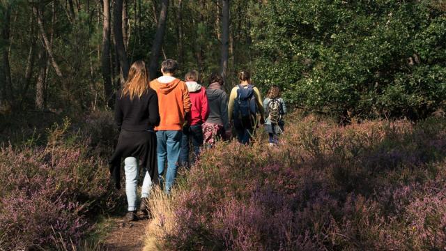 Saute Ruisseaux Balade Nature