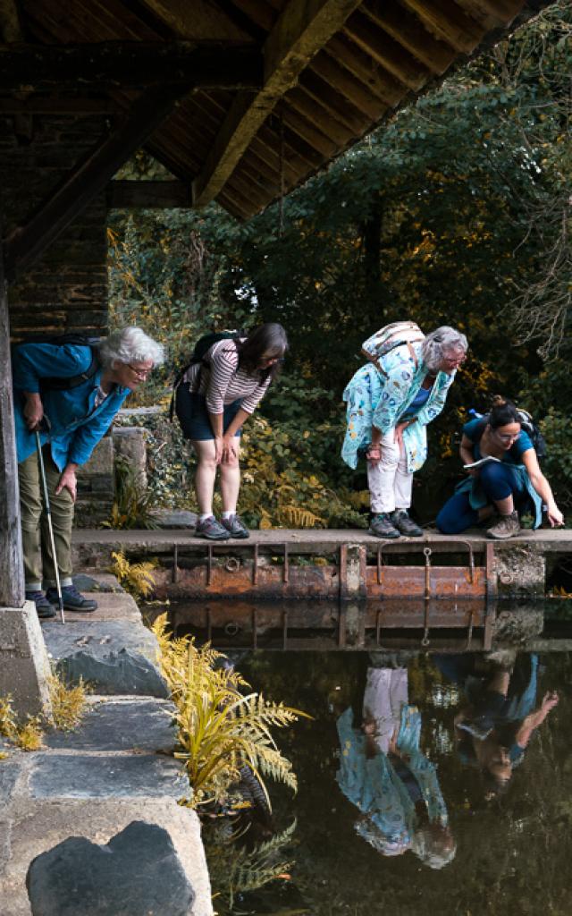 Saute Ruisseaux Balade Nature Lavoir