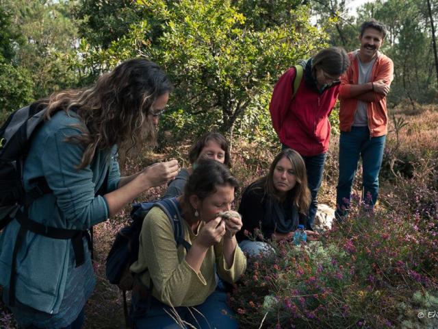 Saute Ruisseaux Découverte Nature