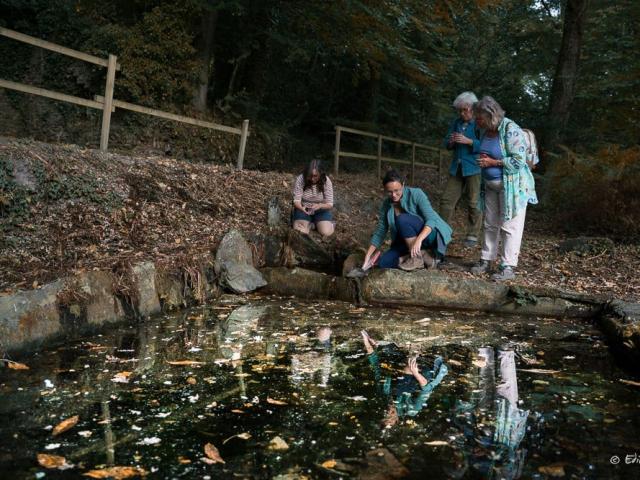 Saute Ruisseaux Sortie Nature Eau