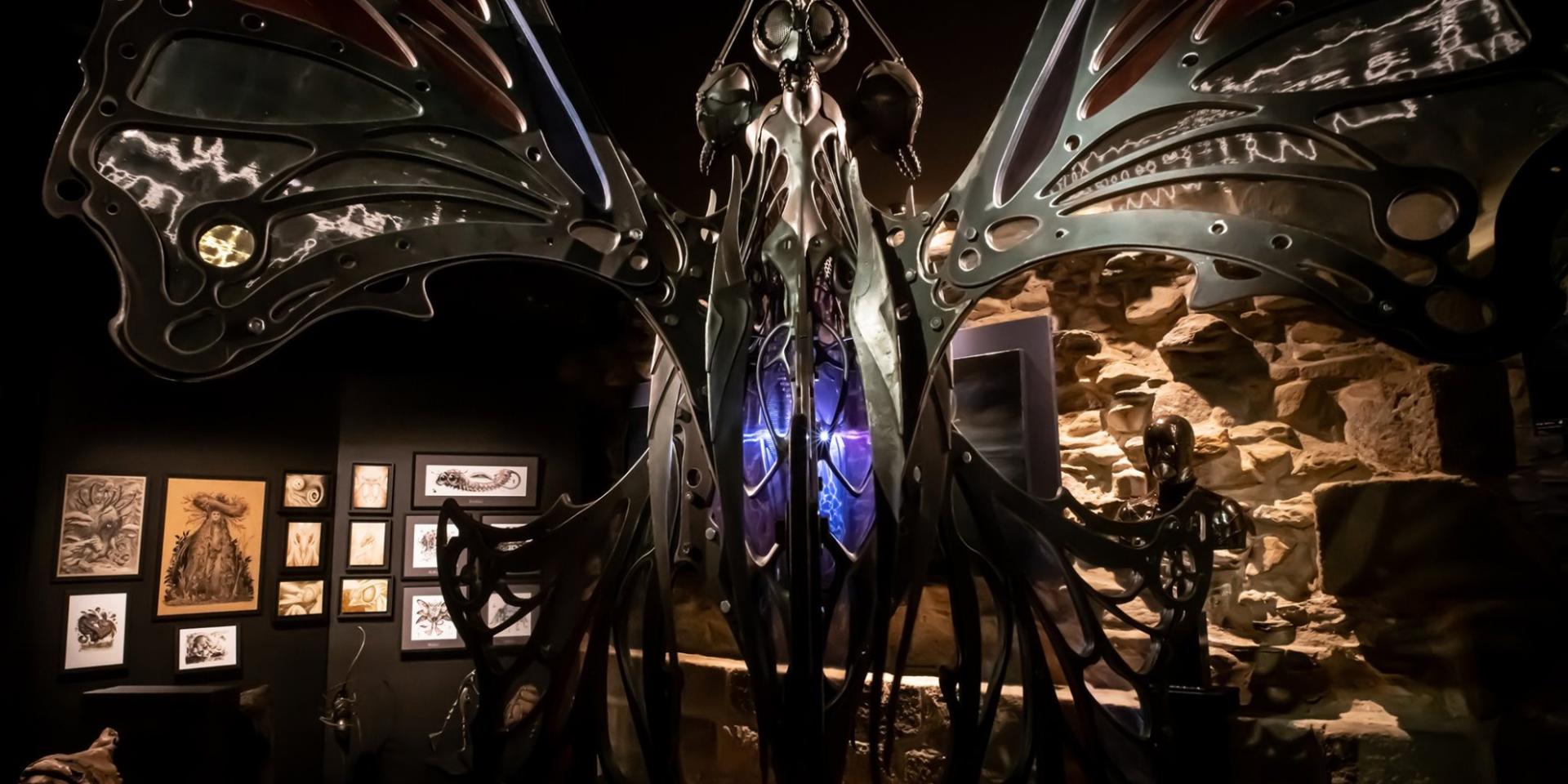 Univers Fantastique Du Naïa Museum