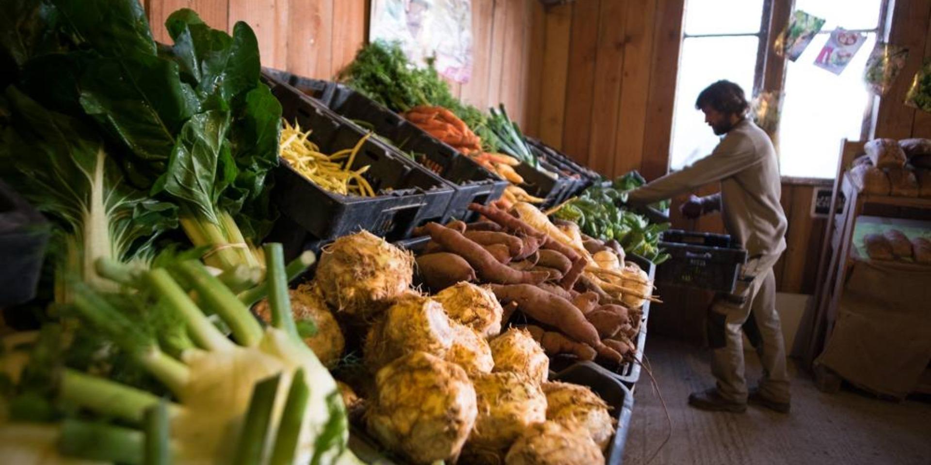 Vente Directe à La Ferme Antoine Rescan Malansac
