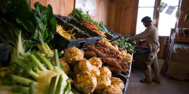 Marché de producteurs à la ferme - Malansac