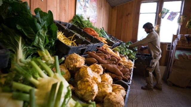 Marché de producteurs à la ferme - Malansac