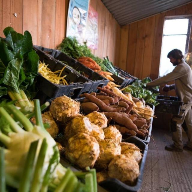 Marché de producteurs à la ferme - Malansac