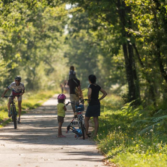 Voie Verte Questembert Mauron V3