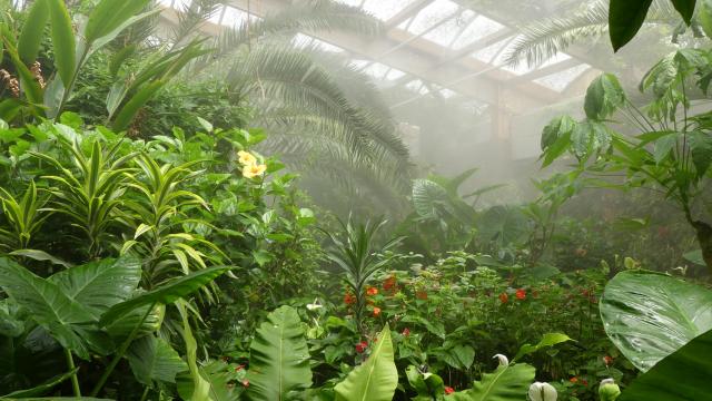 Serre du jardin aux Papillons