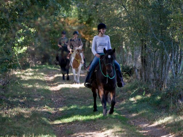 Balade à Cheval