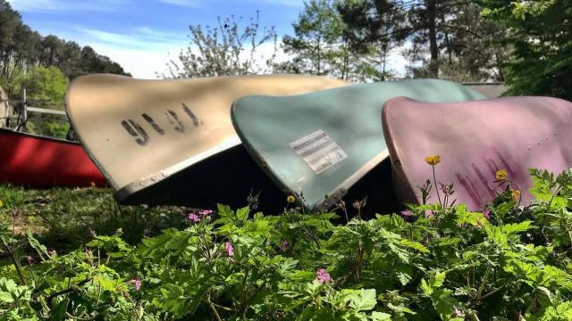 Location Canoes Ile Aux Pies