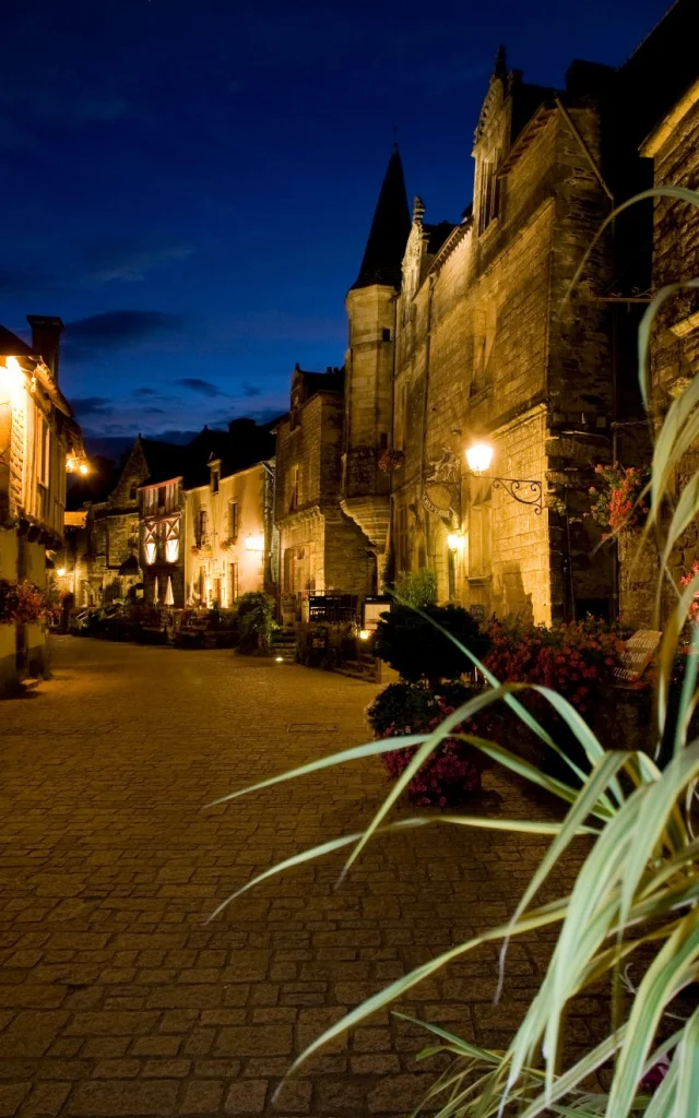 Rochefort En Terre Nocturne (13)