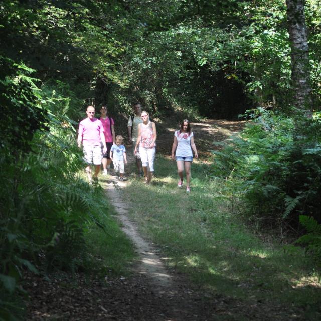 Circuit De L'écluse St Gravé