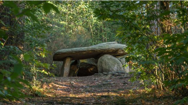 Dolmen Des Follets St Gravé
