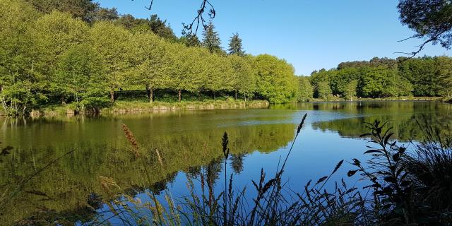 etang-de-celac-questembert.jpg