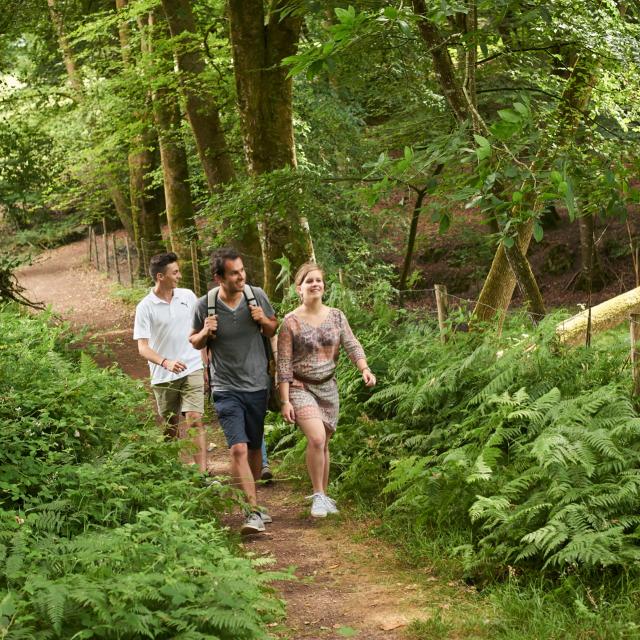 Rando Nature Rochefort En Terre