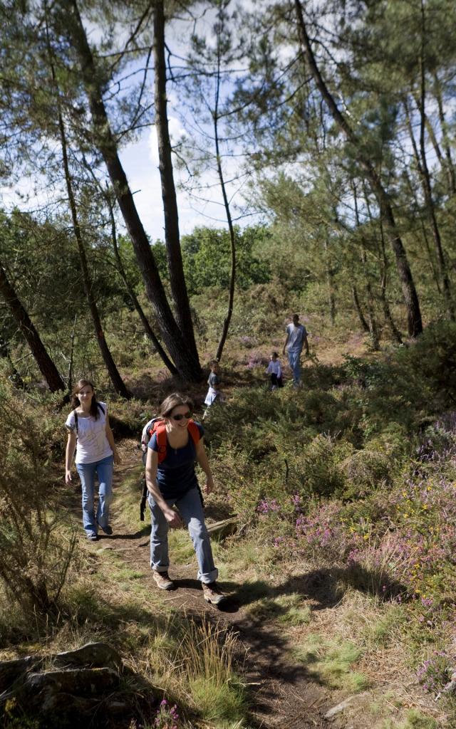 Rando Sur Les Grees Pluhe