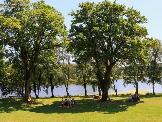 Aire de pique-nique étang du Moulin Neuf