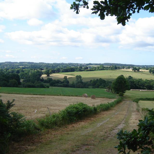 Caden Paysage (grand Val)