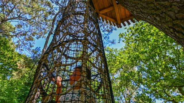 Moulin Neuf Aventure Filets Arbres