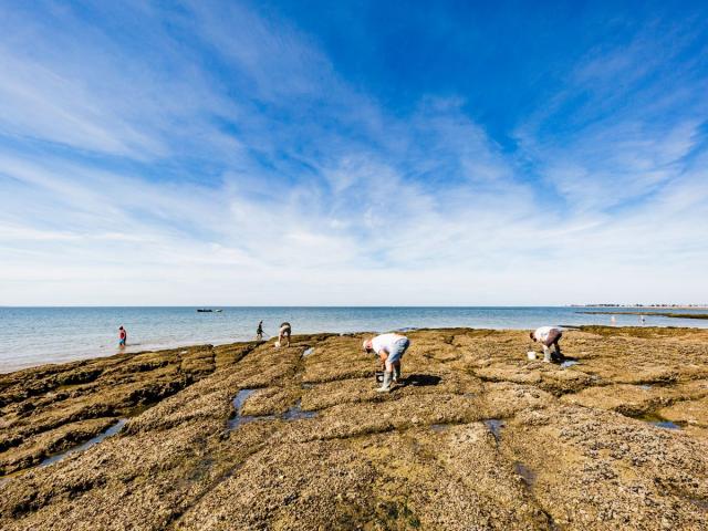 Pêche Office Damgan