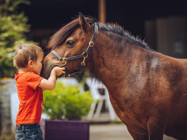 Ferme équestre Equit Anime Malansac