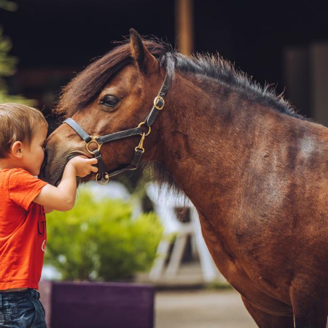 Ferme équestre Equit Anime Malansac